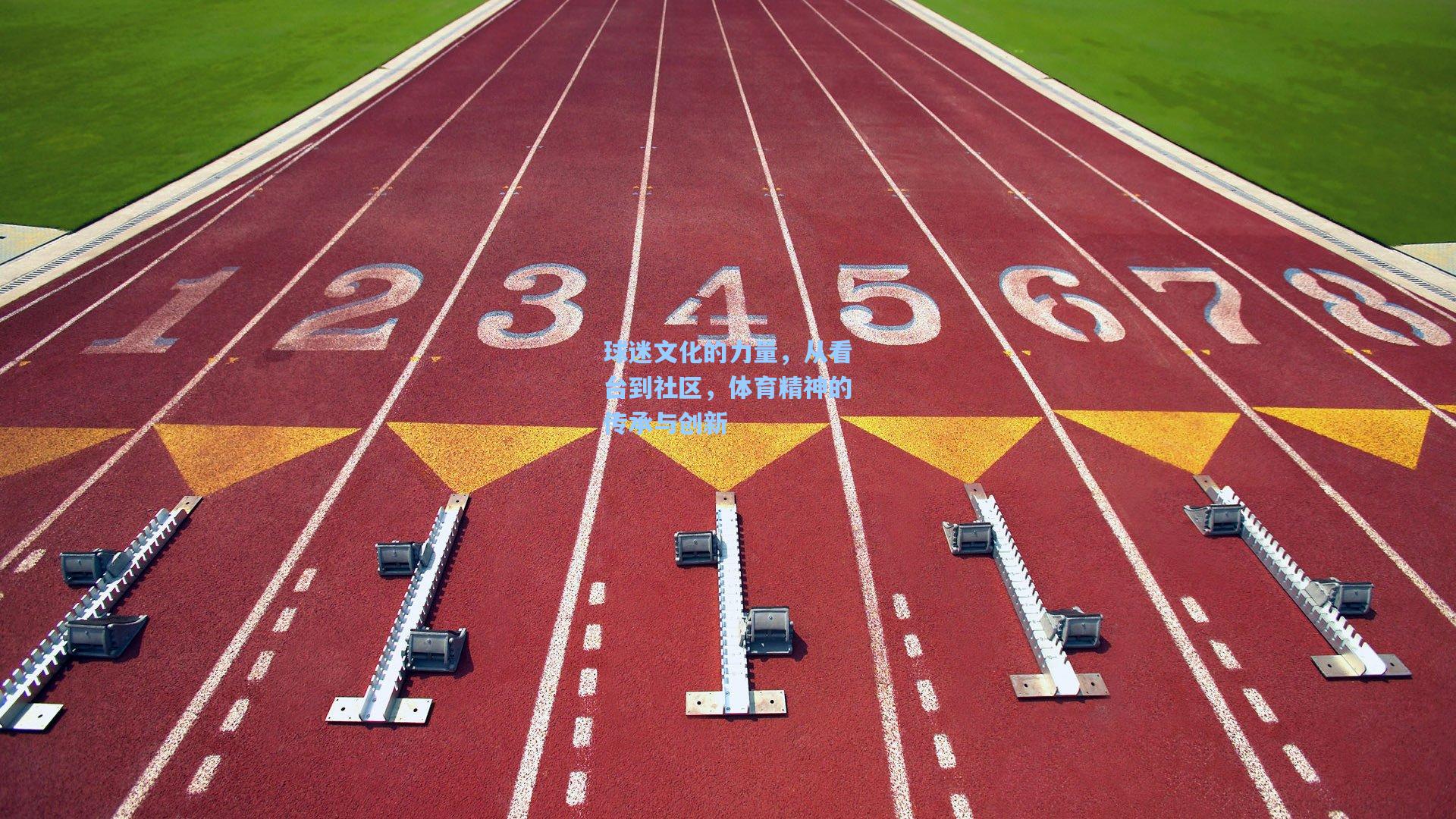 球迷文化的力量，从看台到社区，体育精神的传承与创新