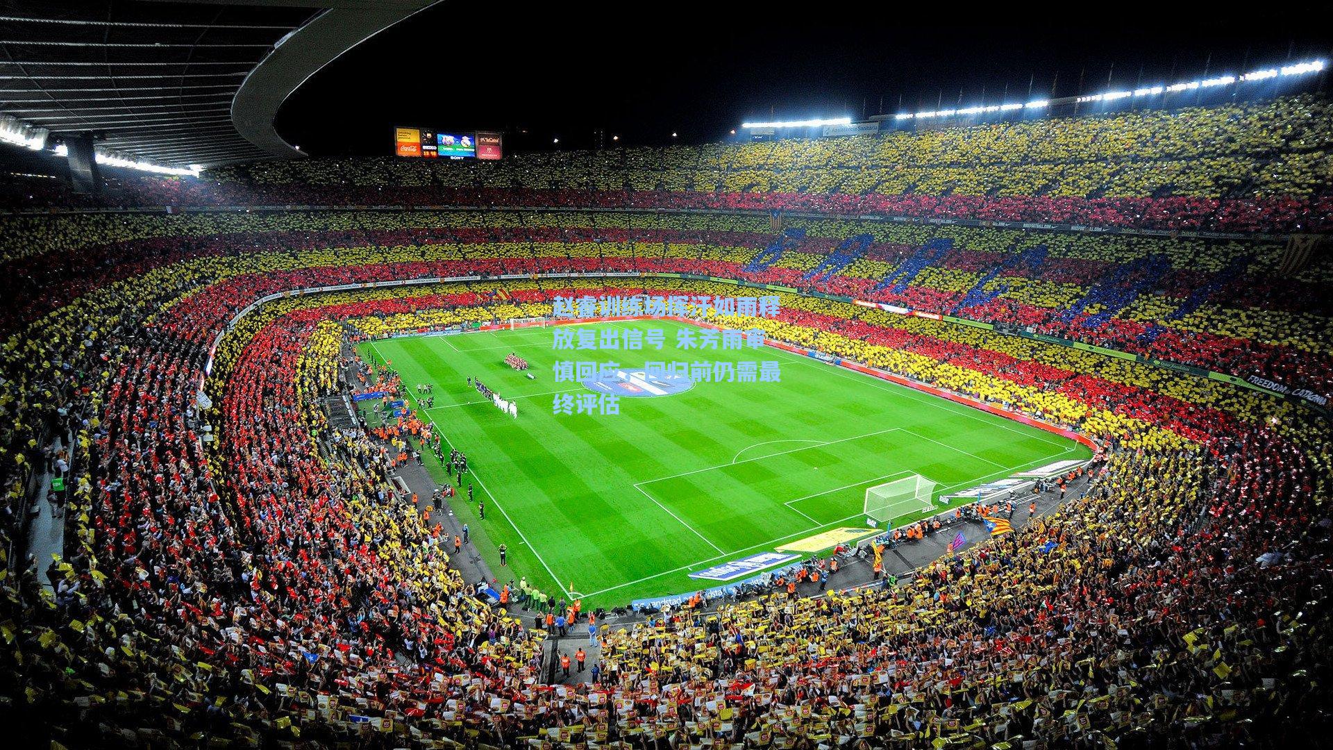 赵睿训练场挥汗如雨释放复出信号 朱芳雨审慎回应，回归前仍需最终评估